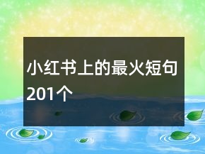小紅書上的最火短句201個