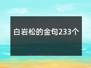 白巖松的金句233個(gè)