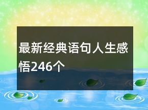 最新經典語句人生感悟246個