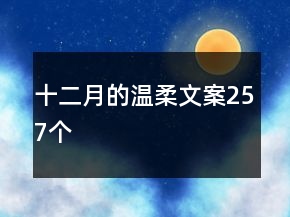 十二月的溫柔文案257個(gè)
