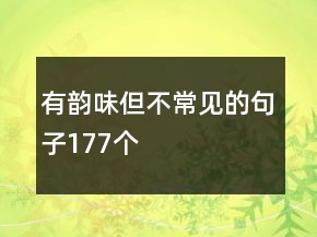 有韻味但不常見的句子177個