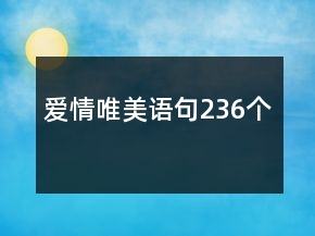 愛(ài)情唯美語(yǔ)句236個(gè)