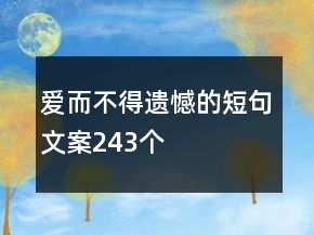 愛(ài)而不得遺憾的短句文案243個(gè)