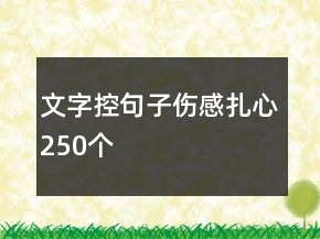 文字控句子傷感扎心250個(gè)
