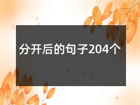 分開后的句子204個