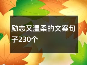 勵志又溫柔的文案句子230個