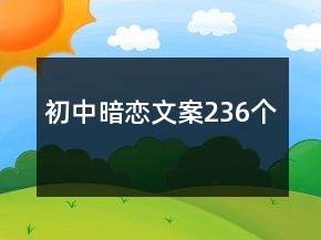 初中暗戀文案236個