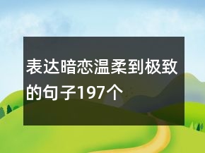 表達(dá)暗戀溫柔到極致的句子197個(gè)