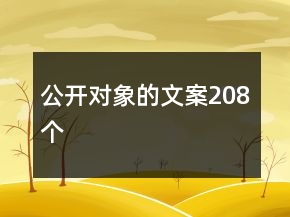 公開對象的文案208個