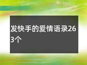 發(fā)快手的愛(ài)情語(yǔ)錄263個(gè)