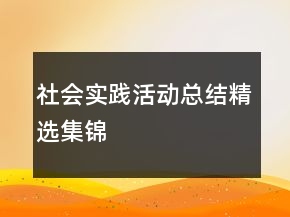 社會(huì)實(shí)踐活動(dòng)總結(jié)精選集錦