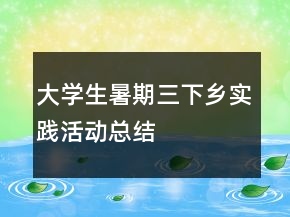 大學(xué)生暑期三下鄉(xiāng)實(shí)踐活動總結(jié)