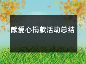 獻(xiàn)愛心捐款活動(dòng)總結(jié)