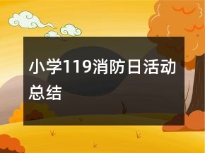 小學(xué)119消防日活動(dòng)總結(jié)