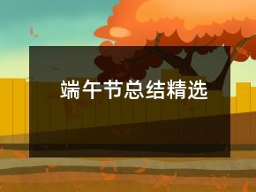端午節(jié)總結精選