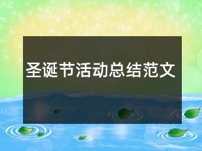 圣誕節(jié)活動總結(jié)范文
