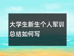 大學(xué)生新生個人軍訓(xùn)總結(jié)如何寫