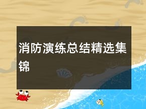消防演練總結(jié)精選集錦