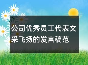 公司優(yōu)秀員工代表文采飛揚的發(fā)言稿范文300字