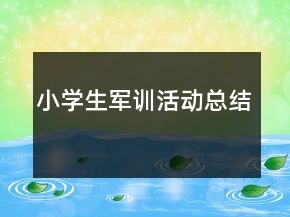 小學(xué)生軍訓(xùn)活動(dòng)總結(jié)