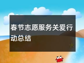 春節(jié)志愿服務(wù)關(guān)愛行動(dòng)總結(jié)