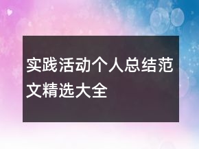 實踐活動個人總結范文精選大全