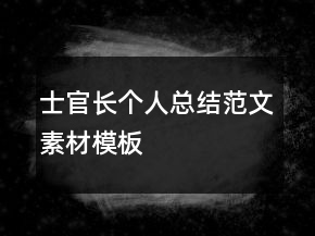 士官長個人總結范文素材模板