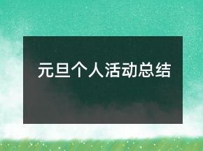 元旦個(gè)人活動(dòng)總結(jié)