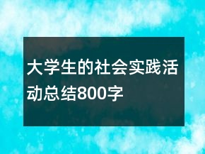 大學(xué)生的社會(huì)實(shí)踐活動(dòng)總結(jié)800字