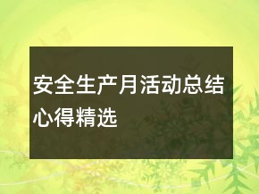 安全生產(chǎn)月活動總結心得精選