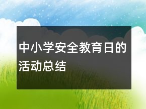 中小學(xué)安全教育日的活動總結(jié)