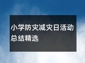 小學(xué)防災(zāi)減災(zāi)日活動(dòng)總結(jié)精選