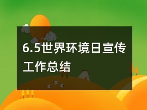 6.5世界環(huán)境日宣傳工作總結(jié)