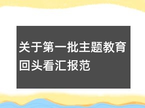 關(guān)于第一批主題教育“回頭看”匯報(bào)范文
