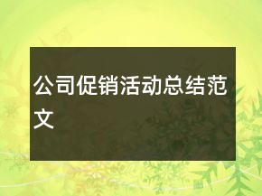 公司促銷活動總結(jié)范文