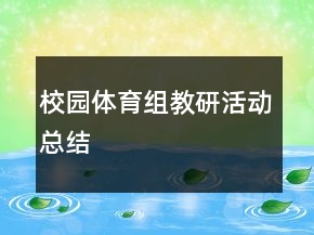 校園體育組教研活動總結