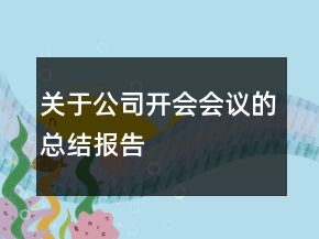 關(guān)于公司開會會議的總結(jié)報告