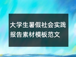 大學(xué)生暑假社會(huì)實(shí)踐報(bào)告素材模板范文