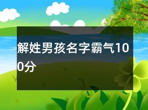 解姓男孩名字霸氣100分
