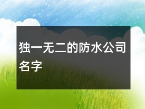 獨(dú)一無二的防水公司名字