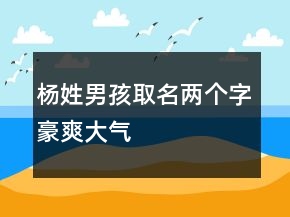楊姓男孩取名兩個字豪爽大氣