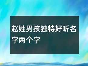 趙姓男孩獨(dú)特好聽名字兩個(gè)字