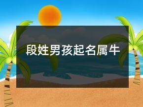 段姓男孩起名屬牛