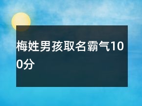 梅姓男孩取名霸氣100分