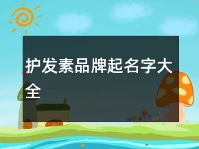 護(hù)發(fā)素品牌起名字大全