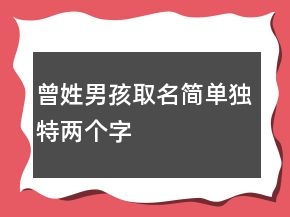 曾姓男孩取名簡單獨特兩個字