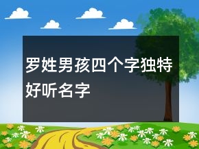 羅姓男孩四個字獨(dú)特好聽名字