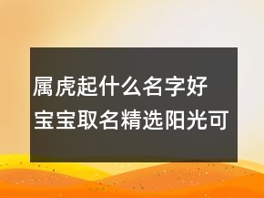 屬虎起什么名字好 寶寶取名精選陽(yáng)光可愛