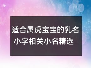 適合屬虎寶寶的乳名 小字相關(guān)小名精選