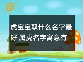 虎寶寶取什么名字最好 屬虎名字寓意有才華